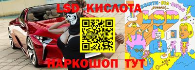PSILOCYBIN Камышлов