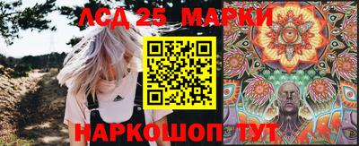 PSILOCYBIN Камышлов