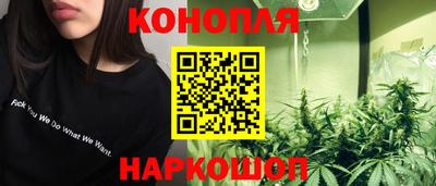 PSILOCYBIN Камышлов