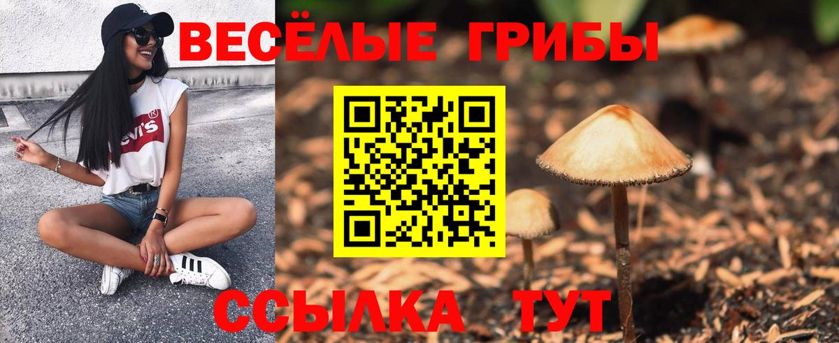 Псилоцибиновые грибы Cubensis  наркота  Пермь  Вход с VPN 