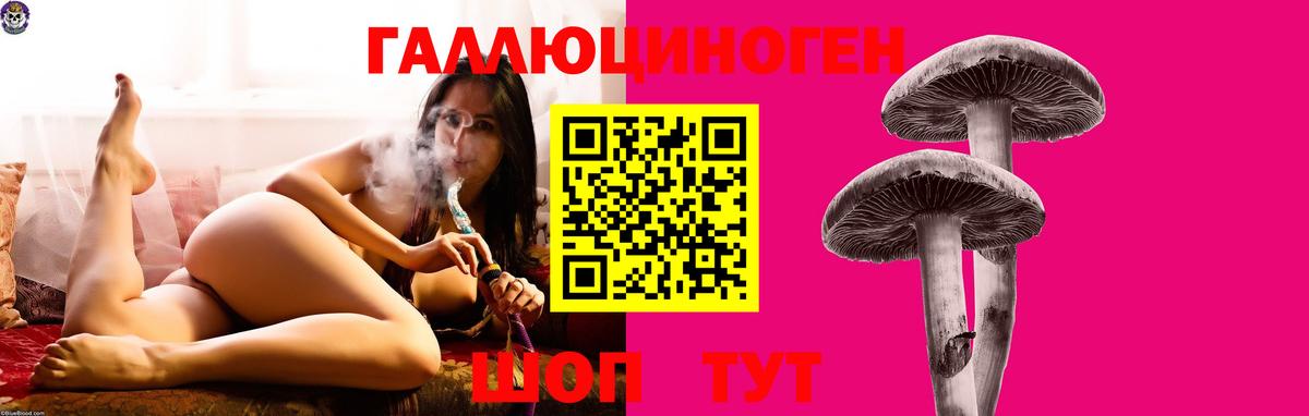 Галлюциногенные грибы Cubensis Пермь